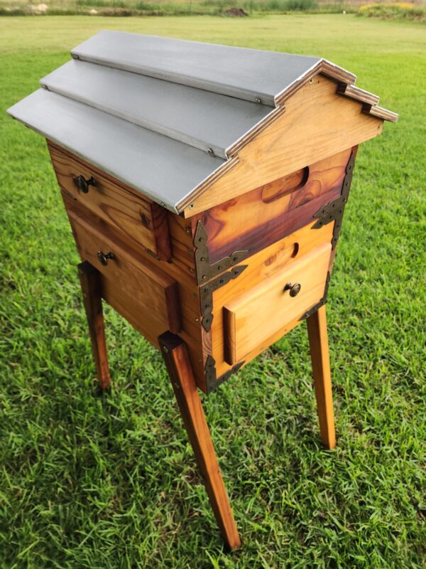 Observation Bee Hive - Image 2