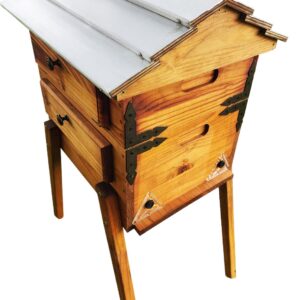 Observation Bee Hive