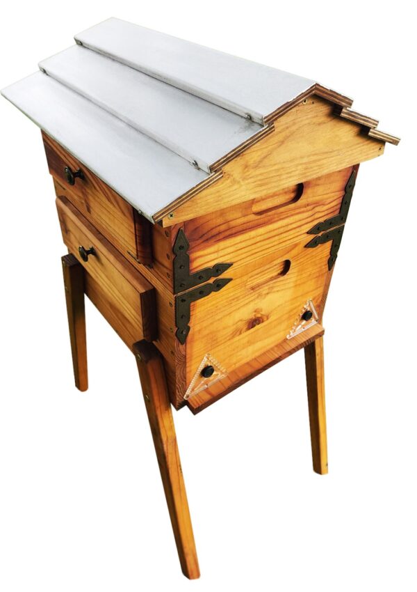 Observation Bee Hive