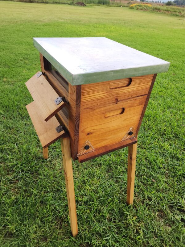 Observation Hive (Flat Roof) - Image 2